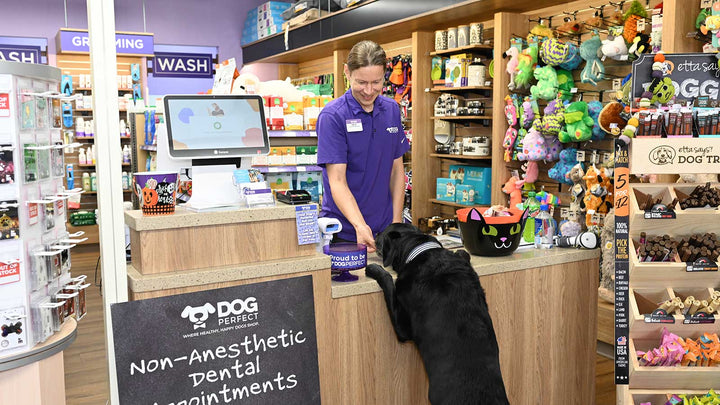 The Problem With Transactional Pet Retail