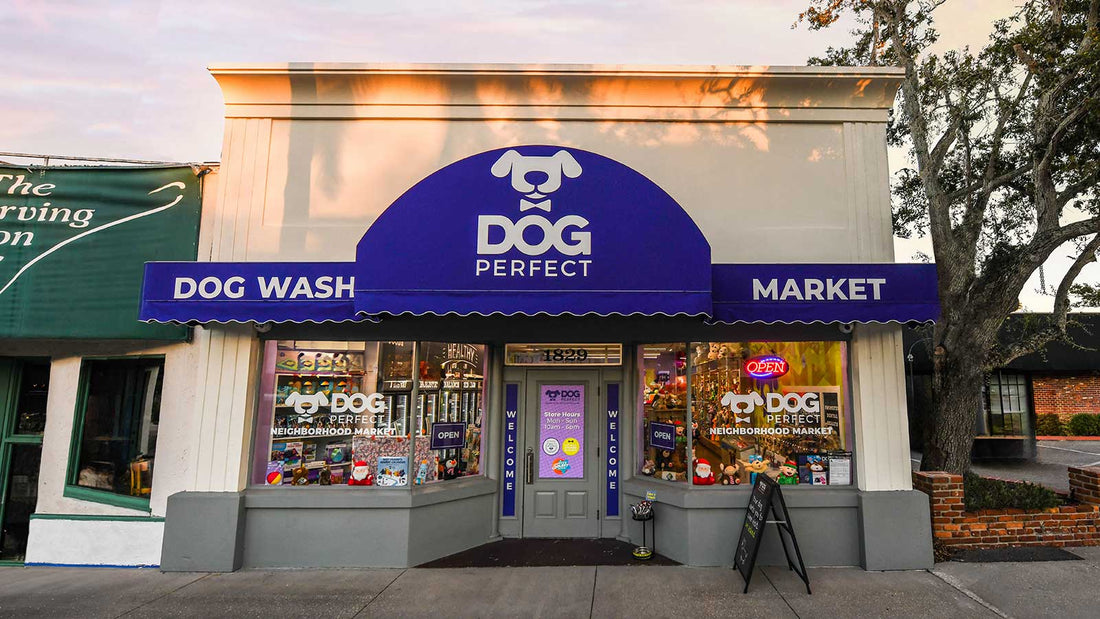 Why Emerging Franchise Brands Can Create Bigger Opportunity