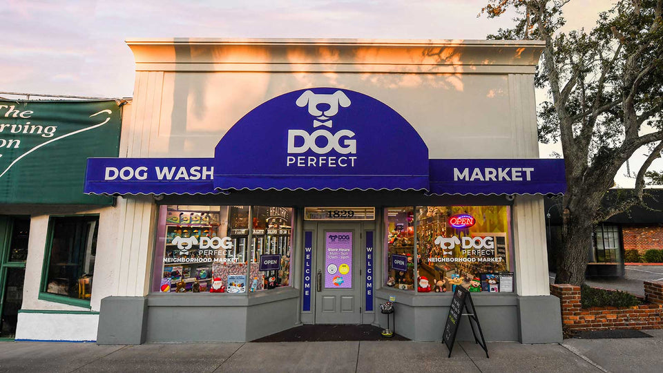Why Emerging Franchise Brands Can Create Bigger Opportunity