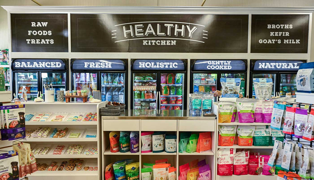 Why Pet Owners Are Spending More on Wellness Than Ever Before